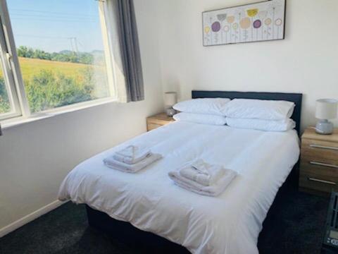 Ilfracombe Apartments Buitenkant foto